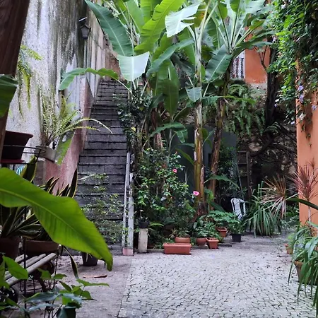 Casa Laranja-3
